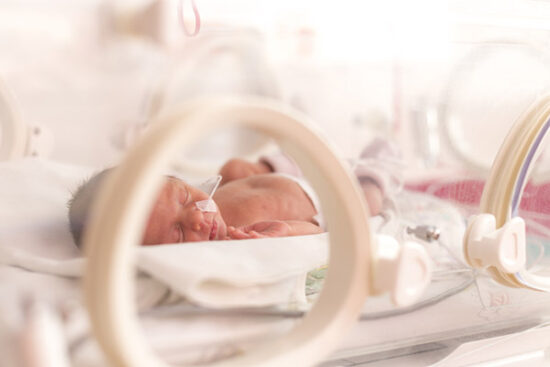 Incubator